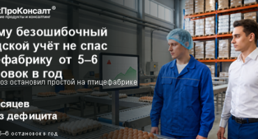 Точный учёт не спас от пустого склада: как птицефабрика перестроила управление запасами